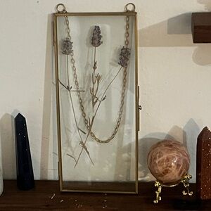 Pressed flowers for frames